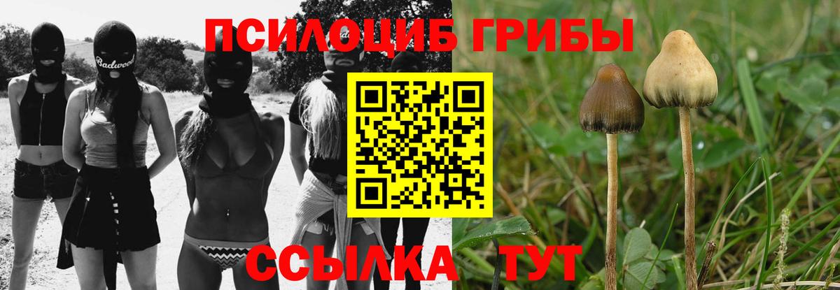 Псилоцибиновые грибы мицелий  Вход с VPN  Кинель 